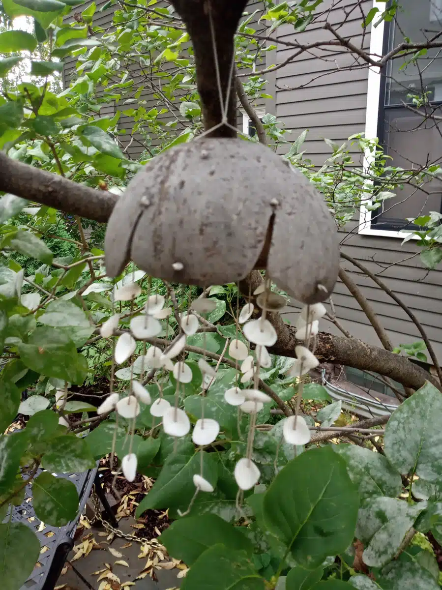 3Rs NUWAY Counseling Center - Thumbnail 6