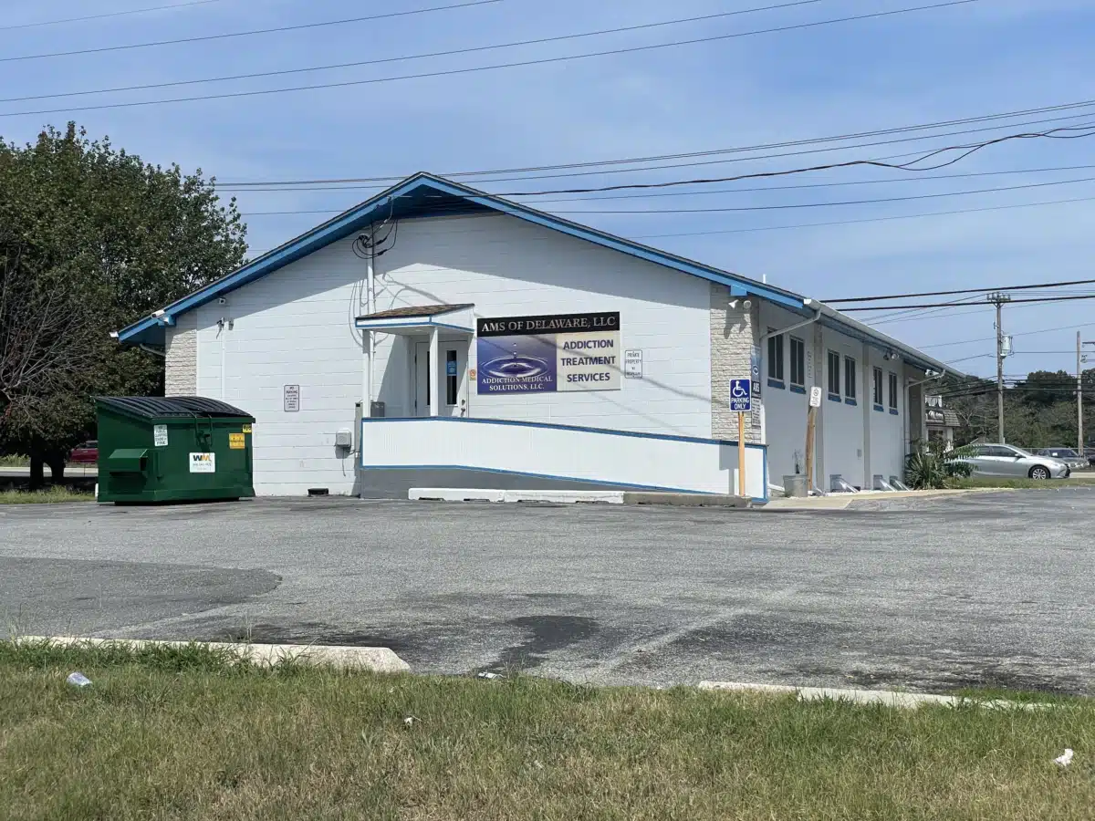 AMS of Delaware LLC - Preview