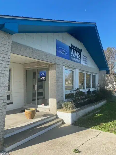 AMS of Delaware LLC - Thumbnail 3