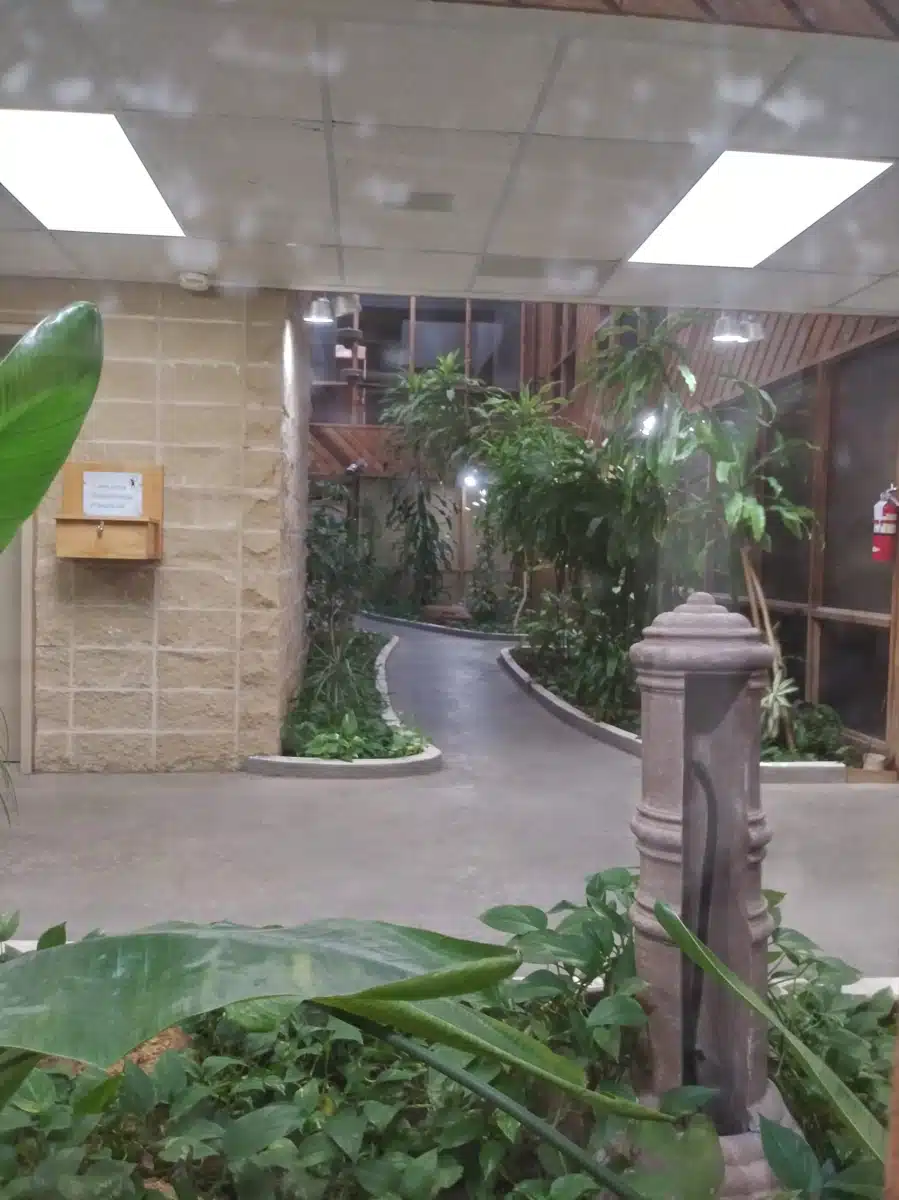 Abilene Betty Hardwick - Thumbnail 3