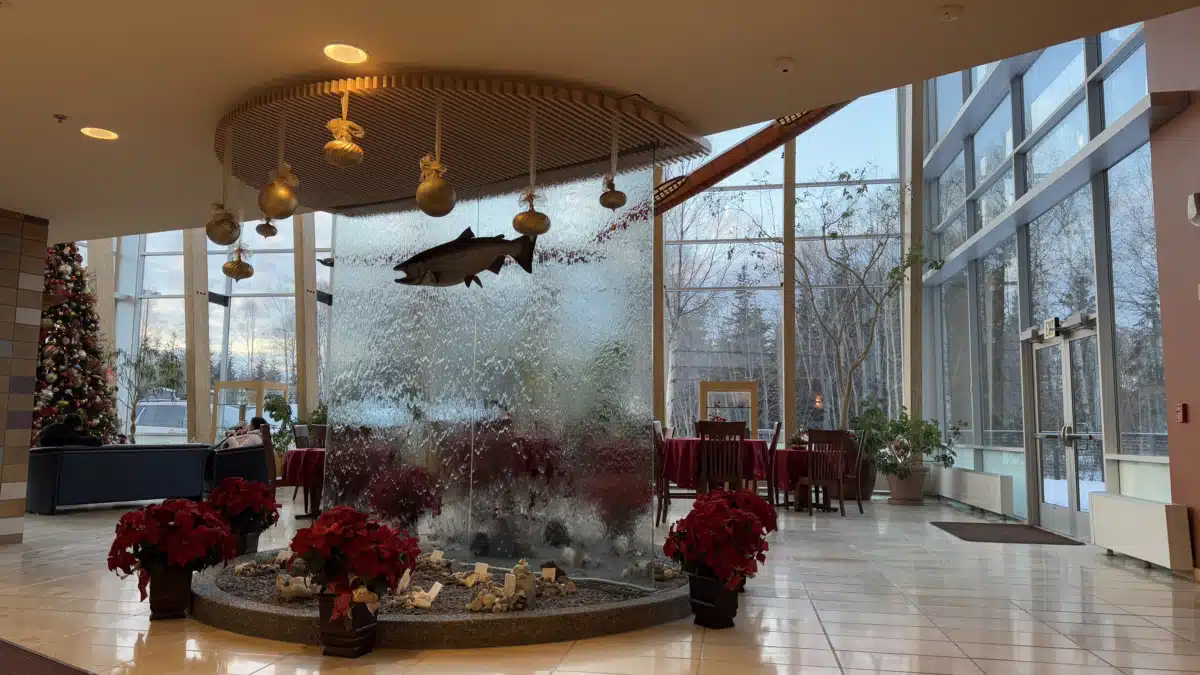 Aleutian Pribilof Islands Association - Thumbnail 2