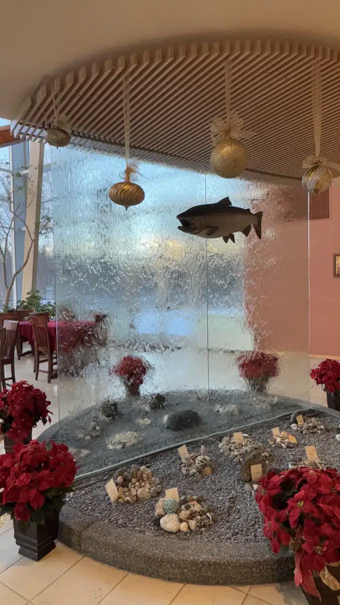 Aleutian Pribilof Islands Association - Thumbnail 3