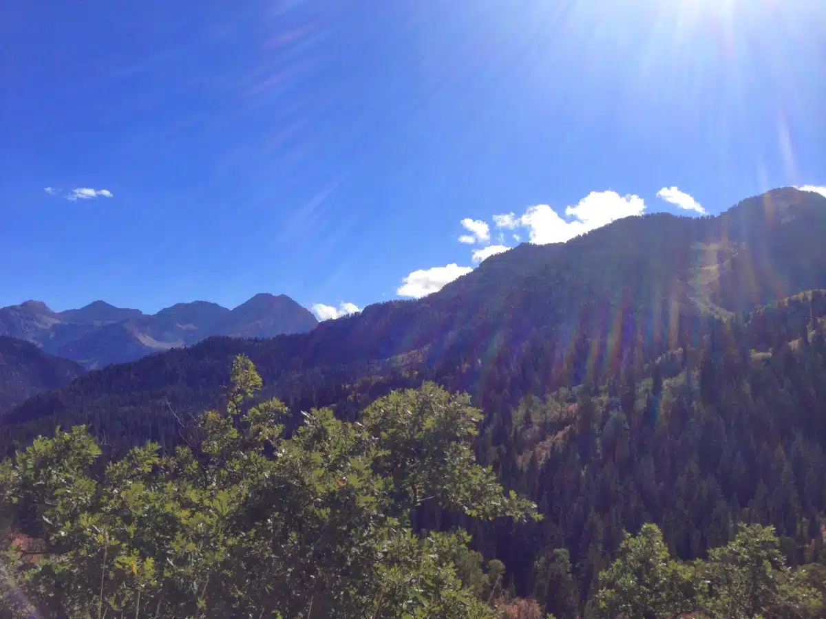 Alpine Recovery Lodge - Thumbnail 7