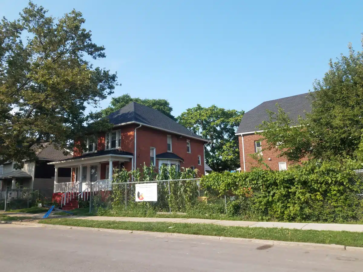 American Indian Health and - Thumbnail 7