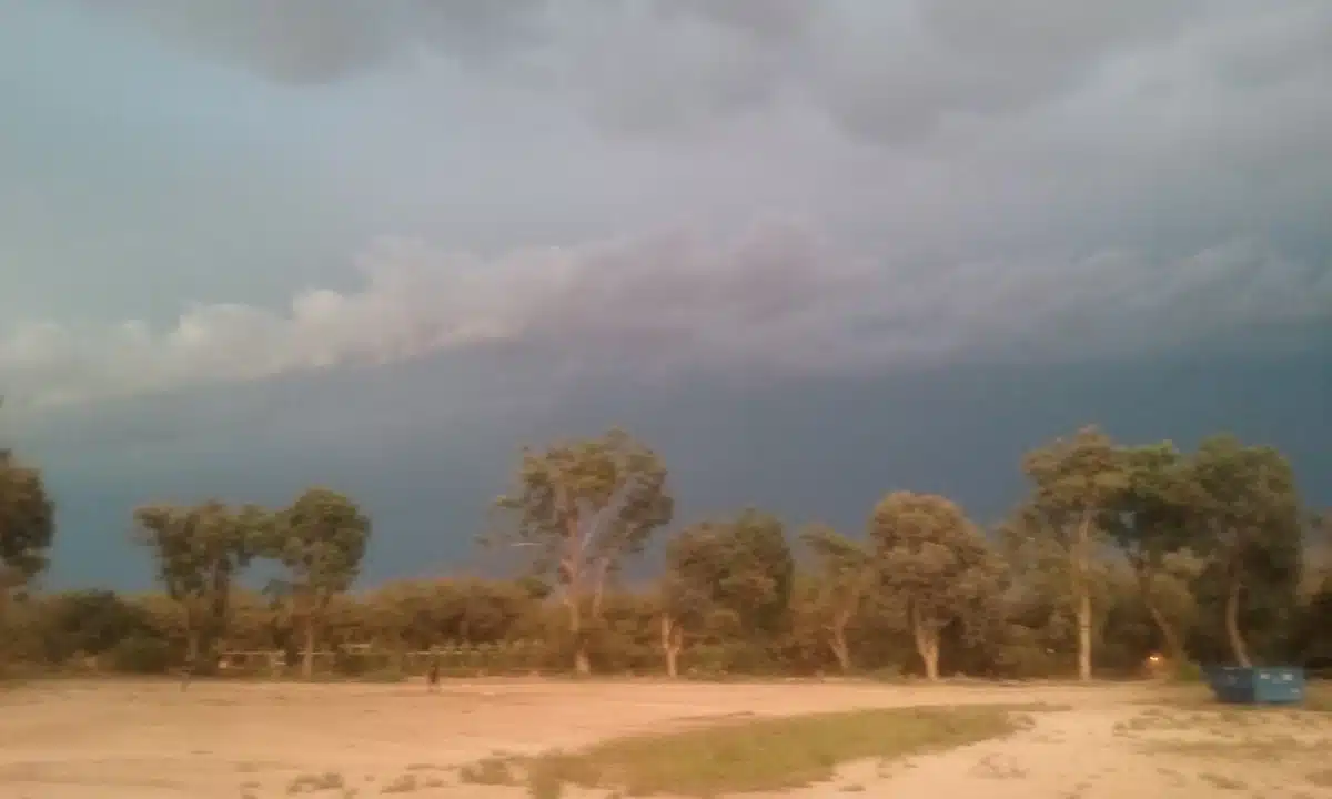 Amity Foundation - Thumbnail 6