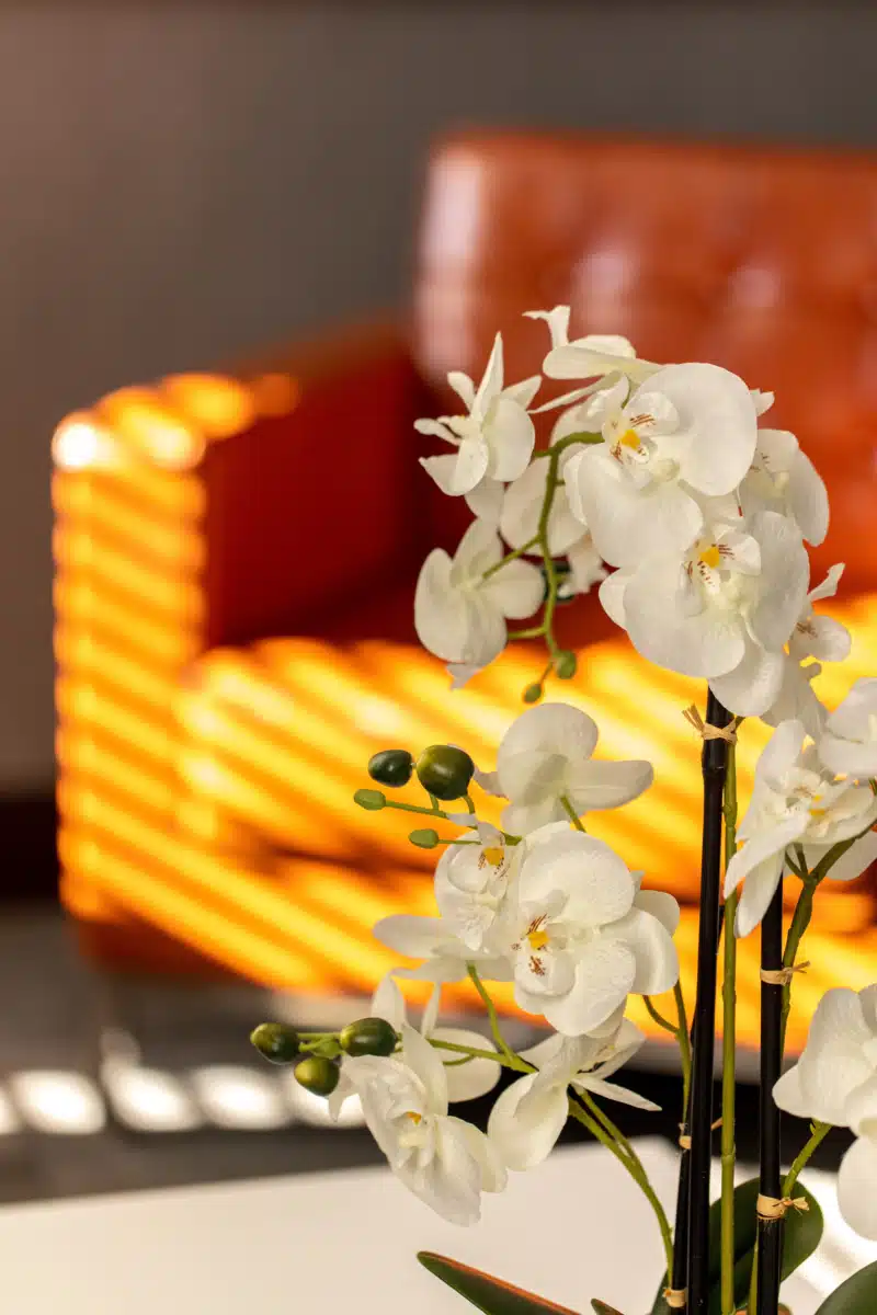 Arista Recovery at Overland Park - Thumbnail 5