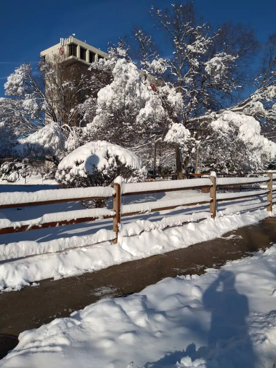 Arlington Recovery Center - Thumbnail 4