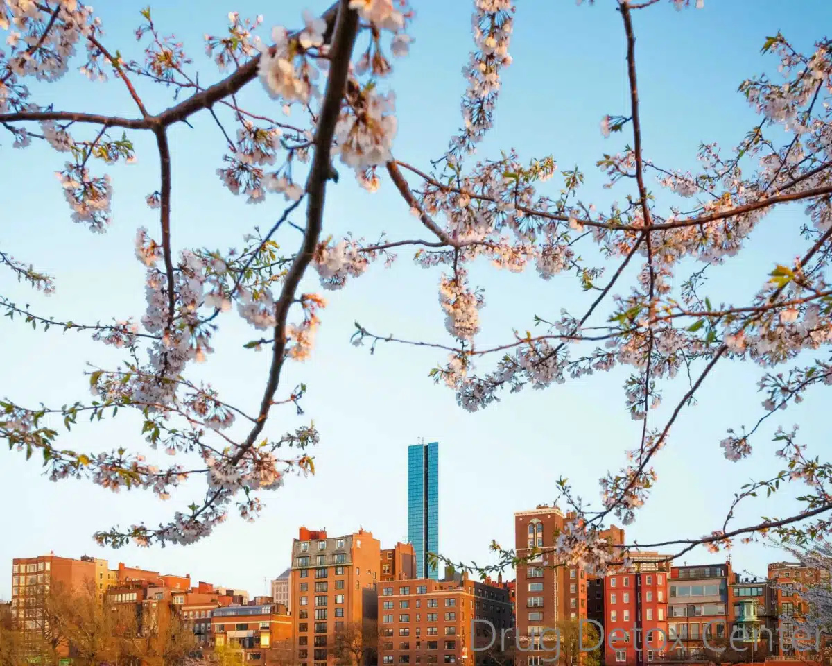 Asian American Drug Abuse Program - Thumbnail 9