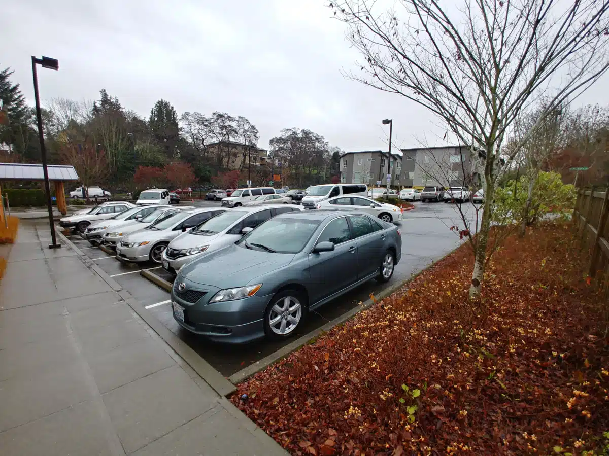 Asian Counseling and Referral Service - Thumbnail 3