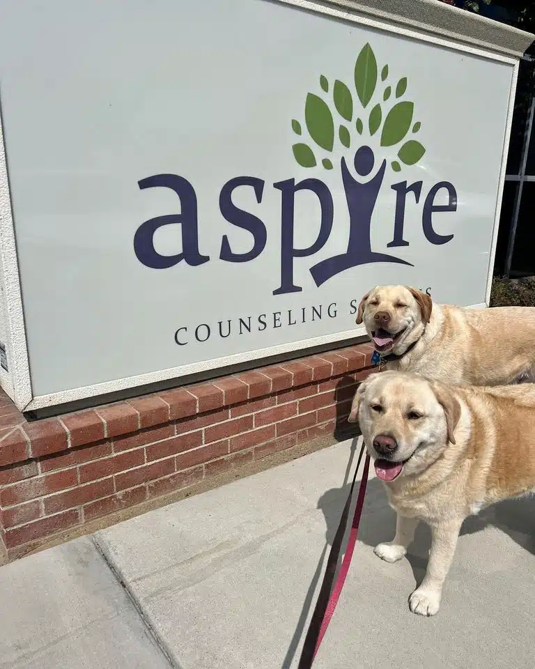 Aspire Counseling Services - Thumbnail 10