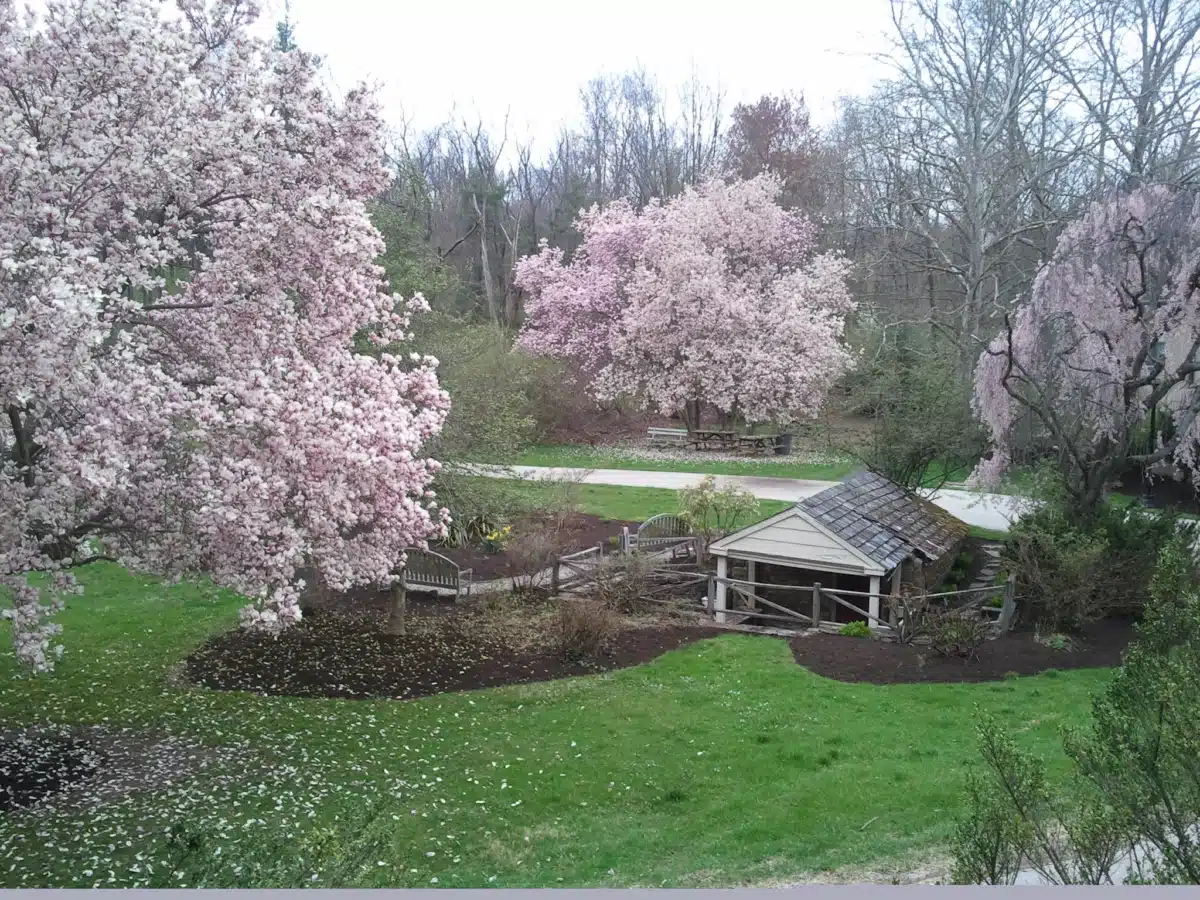 Avenues Recovery Center at - Thumbnail 10