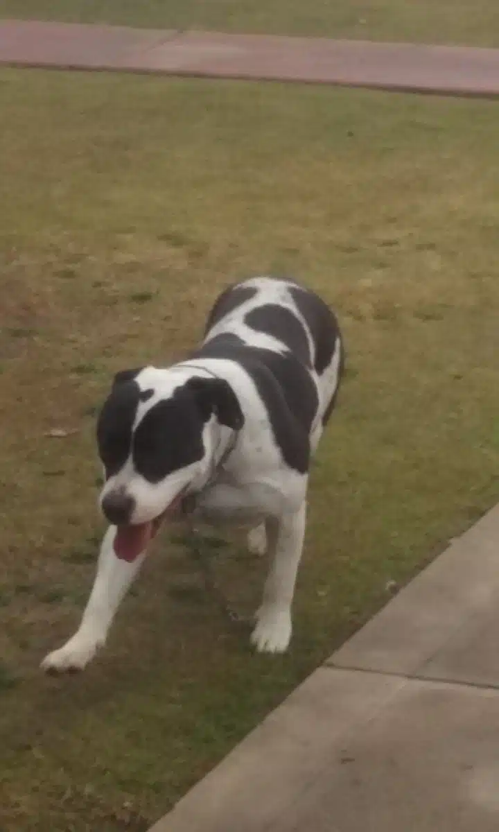 Bakersfield Recovery Services - Thumbnail 8