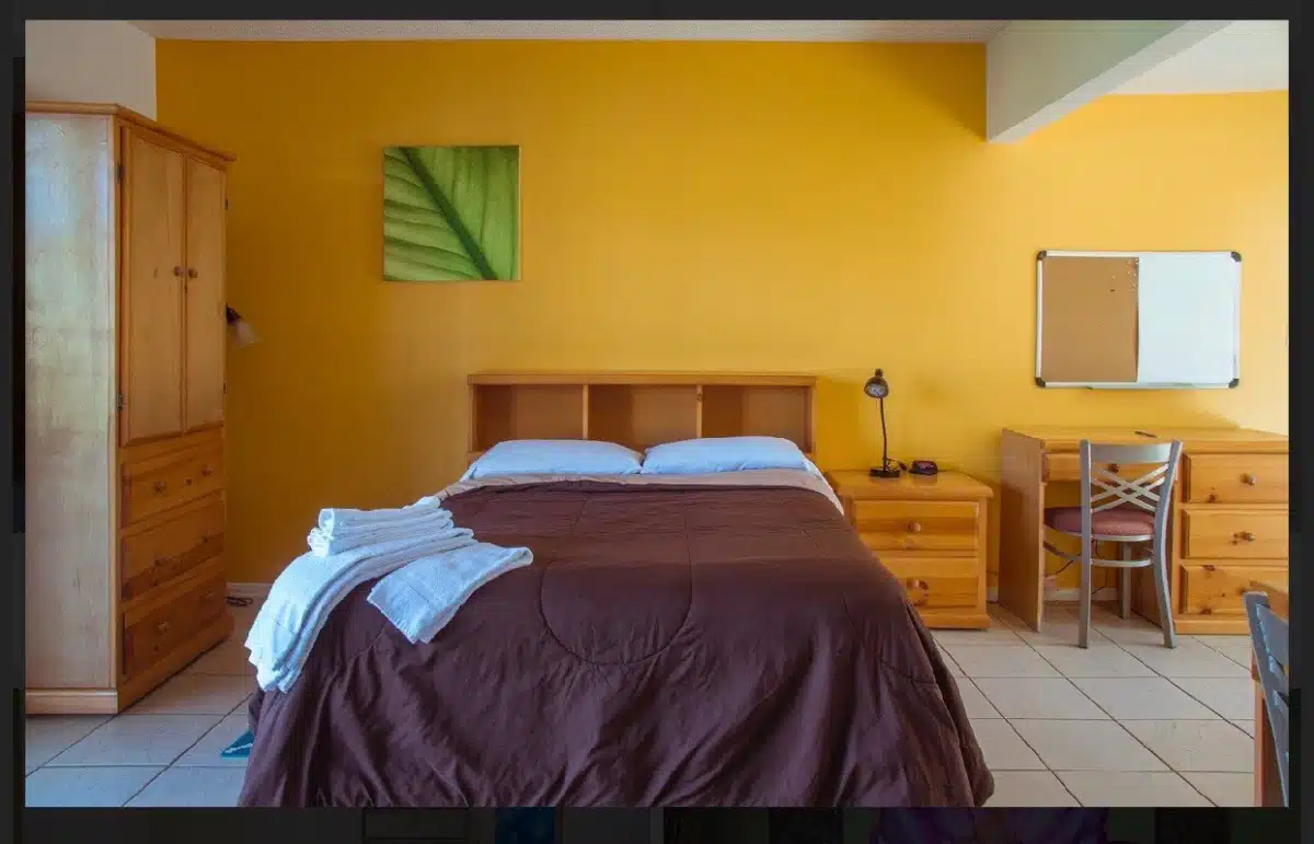 Banyan Palm Springs - Thumbnail 2