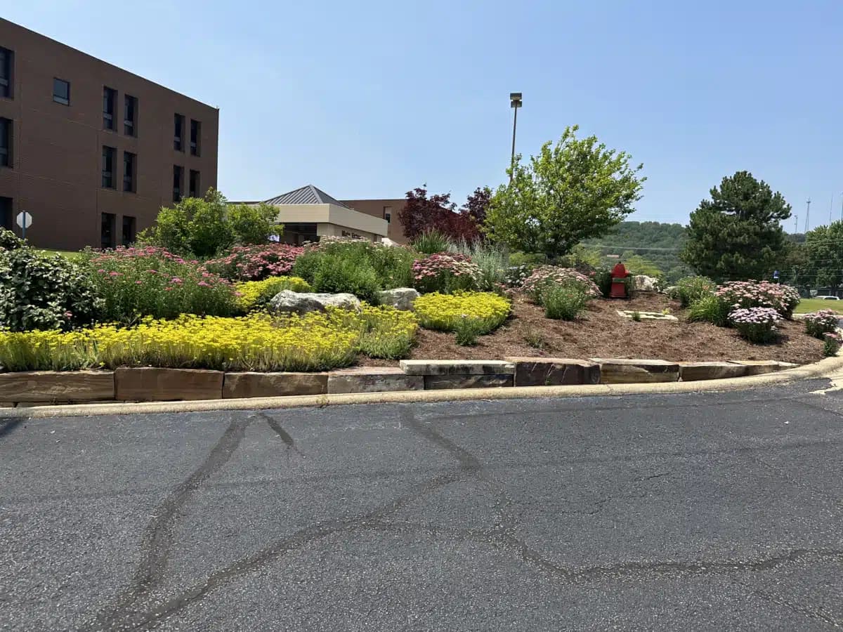 Baxter Regional Medical Center - Thumbnail 6