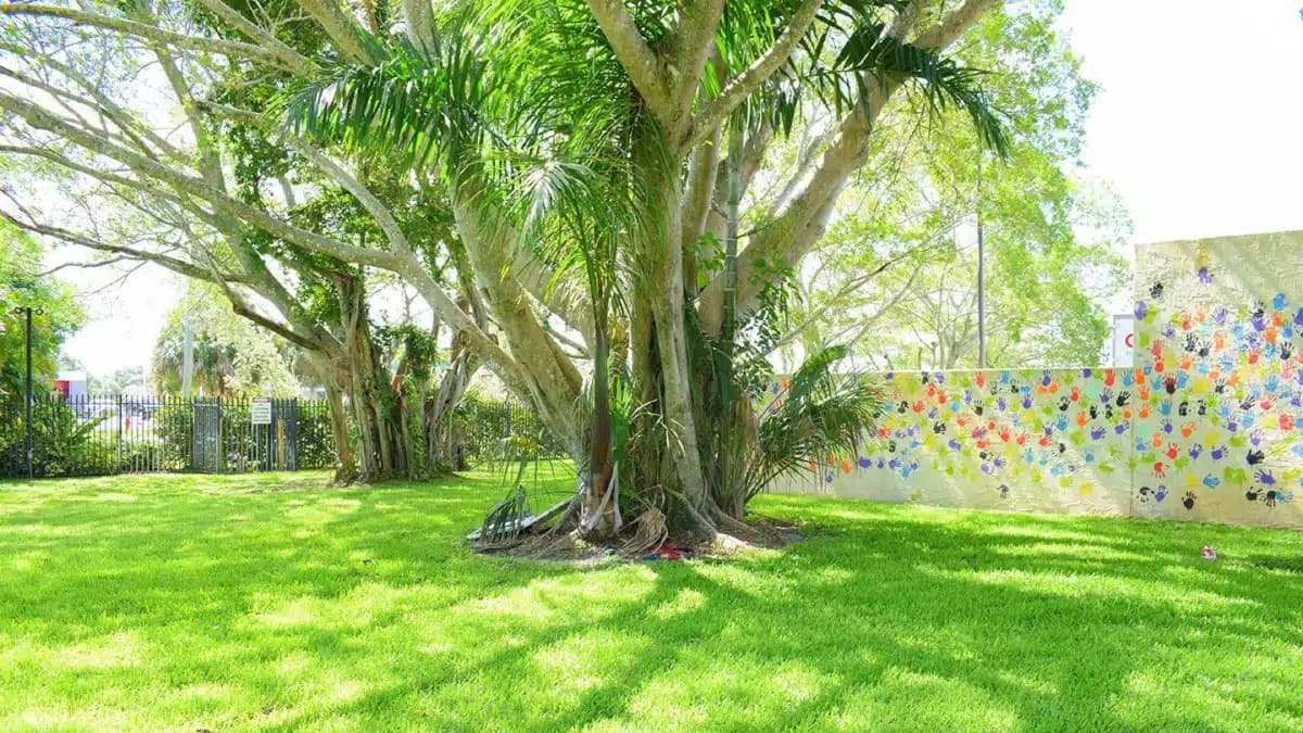 Behavioral Health of the Palm Beaches - Thumbnail 8