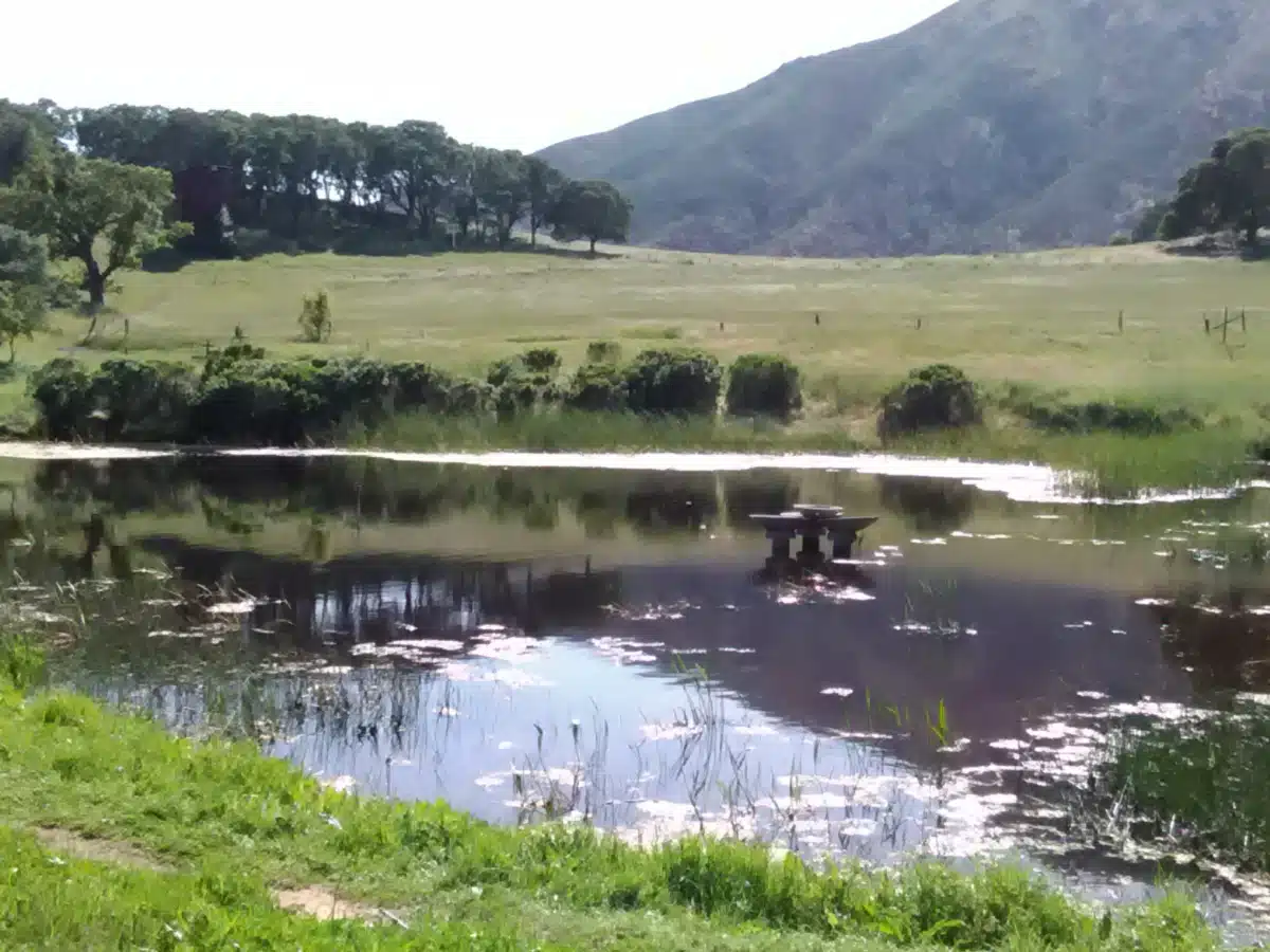 Bi Bett Corp - Thumbnail 4