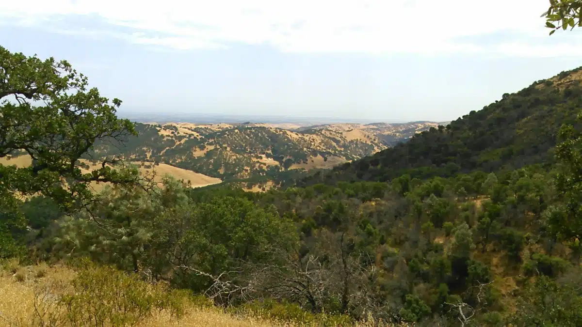 Bi Bett Corp - Thumbnail 5