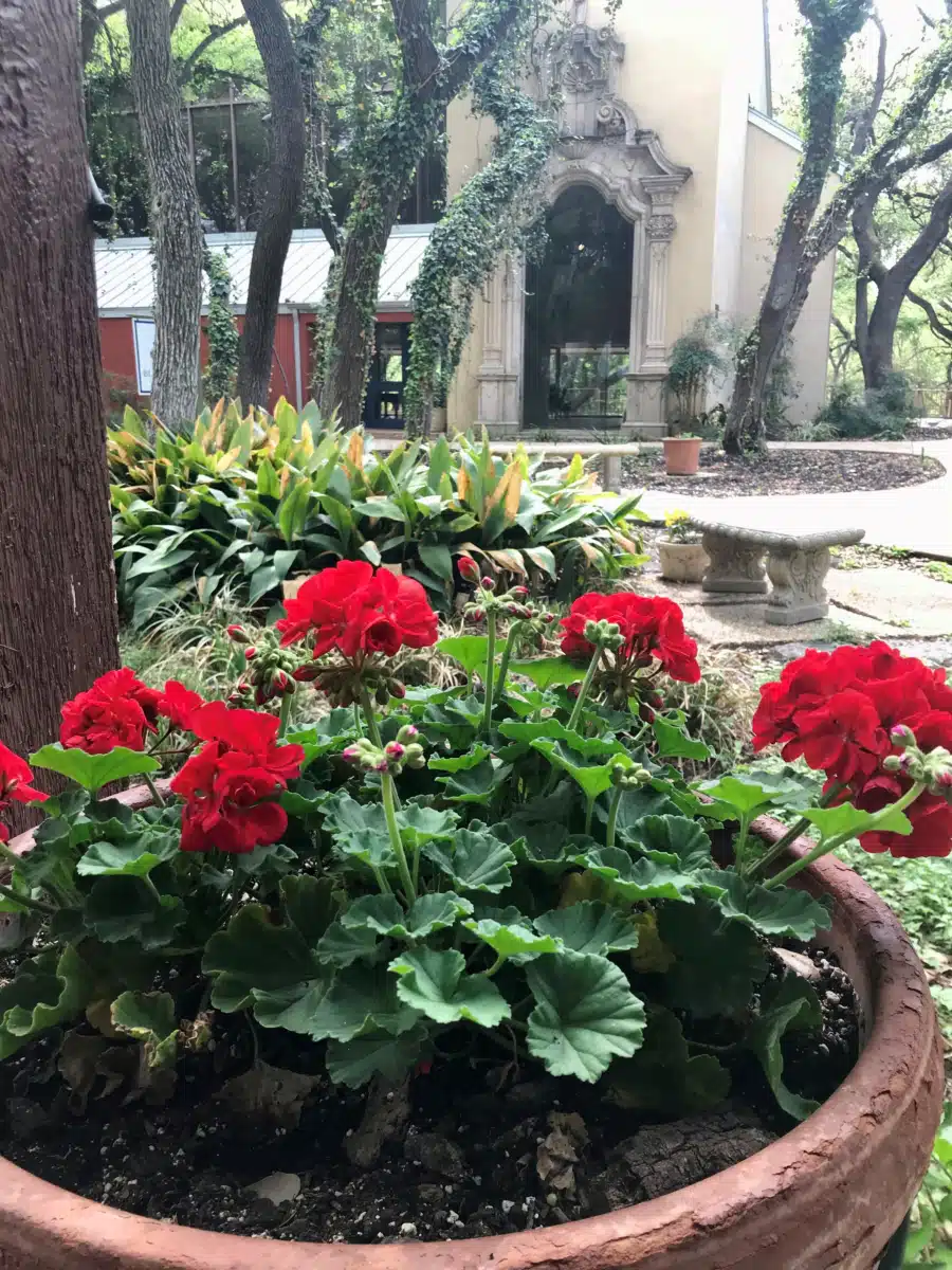 Blue Heron Recovery - Thumbnail 9