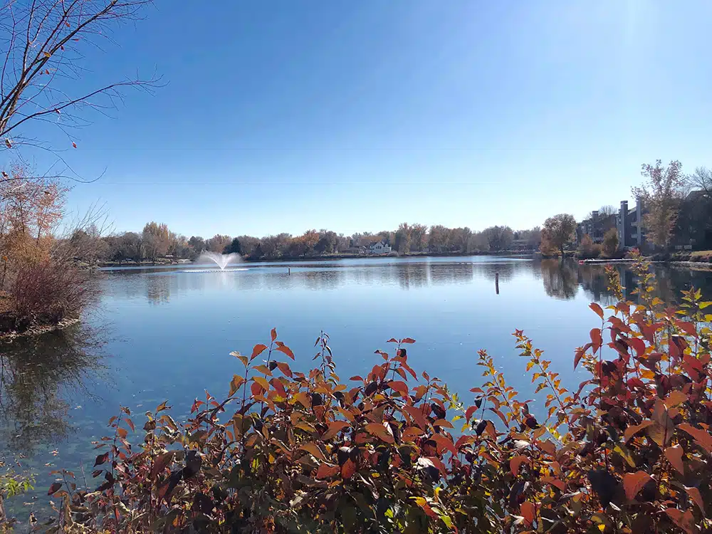 Brick House Recovery - Thumbnail 9