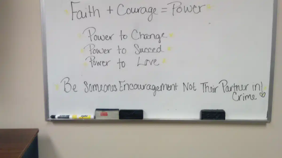 Bridge Inc - Thumbnail 7