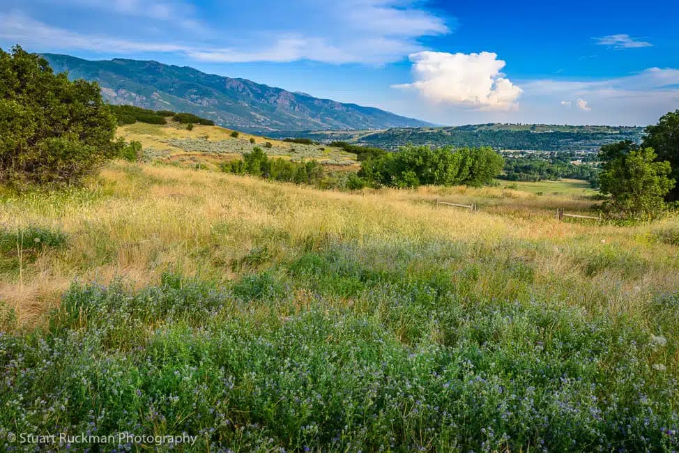 Brighton Recovery Center - Thumbnail 9