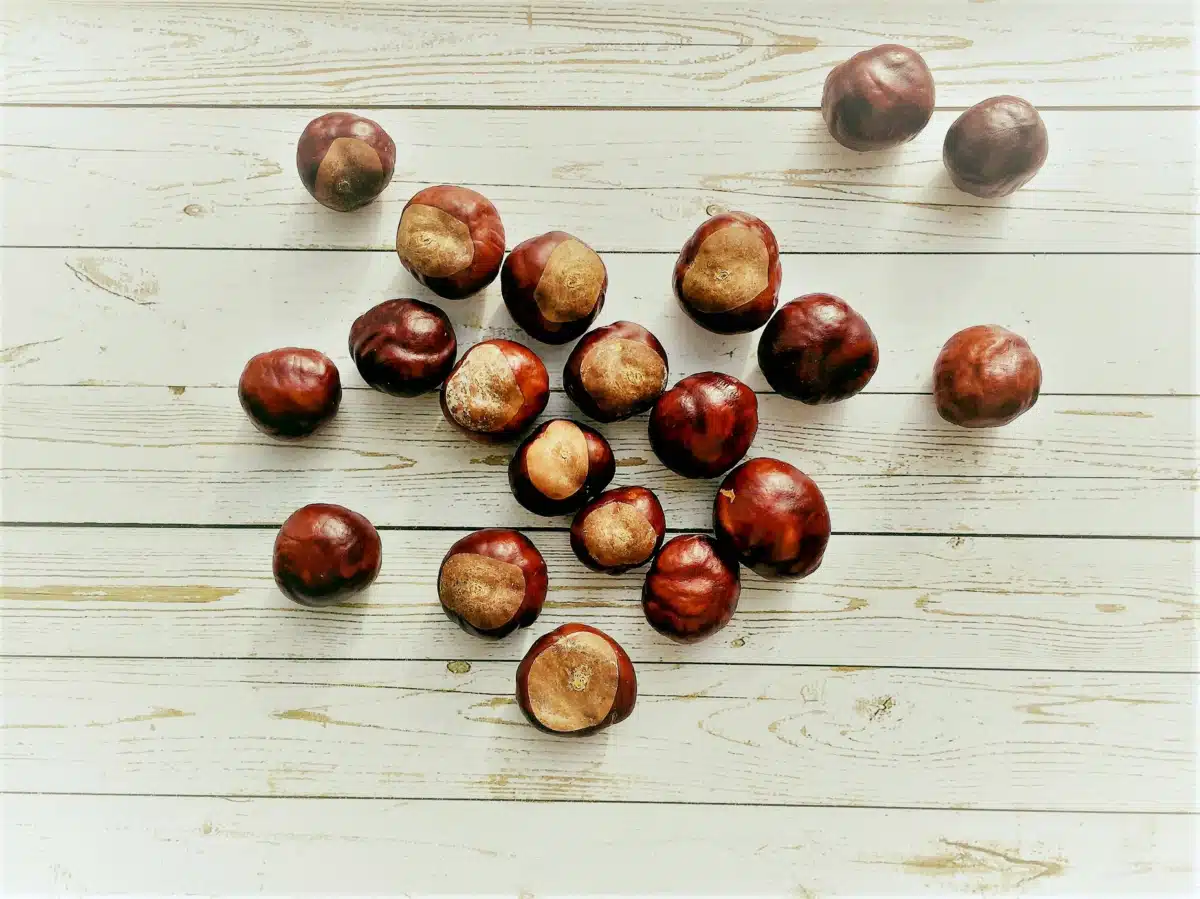 Buckeye Recovery Network - Thumbnail 3