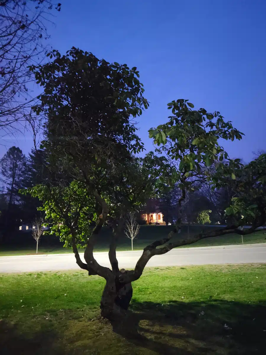 Butler Hospital - Thumbnail 4