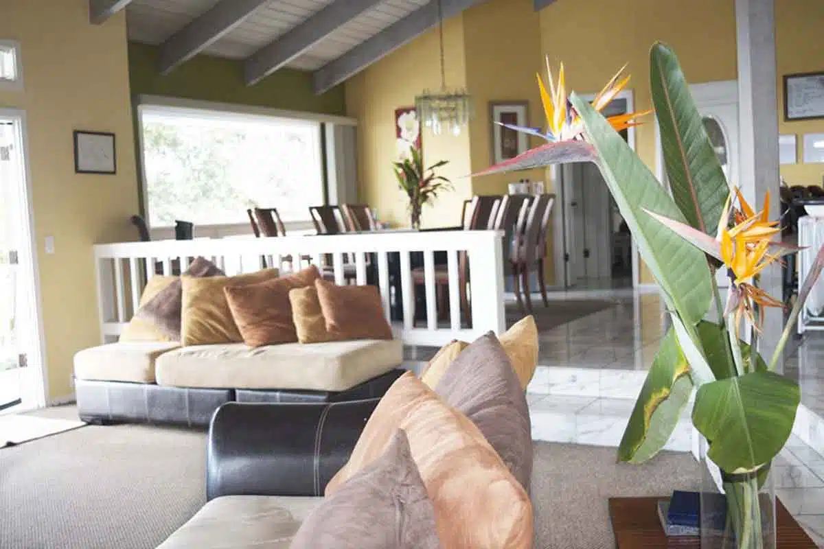 CARE Hawaii Inc - Thumbnail 3