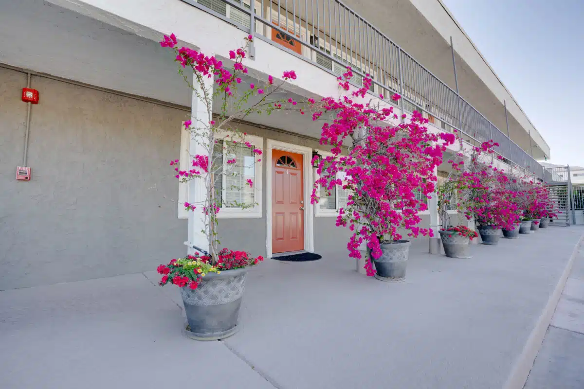 California Behavioral Health LLC