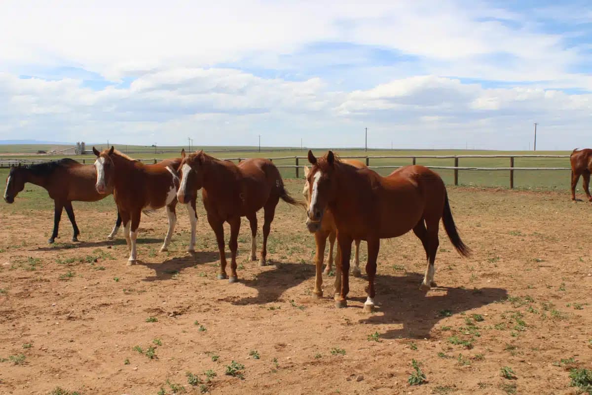 Cathedral Home for Children - Thumbnail 2