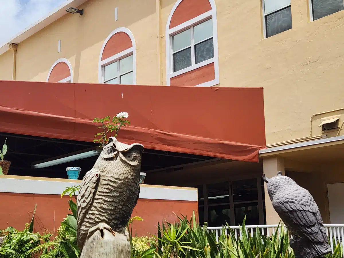 Catholic Charities of Miami - Thumbnail 2