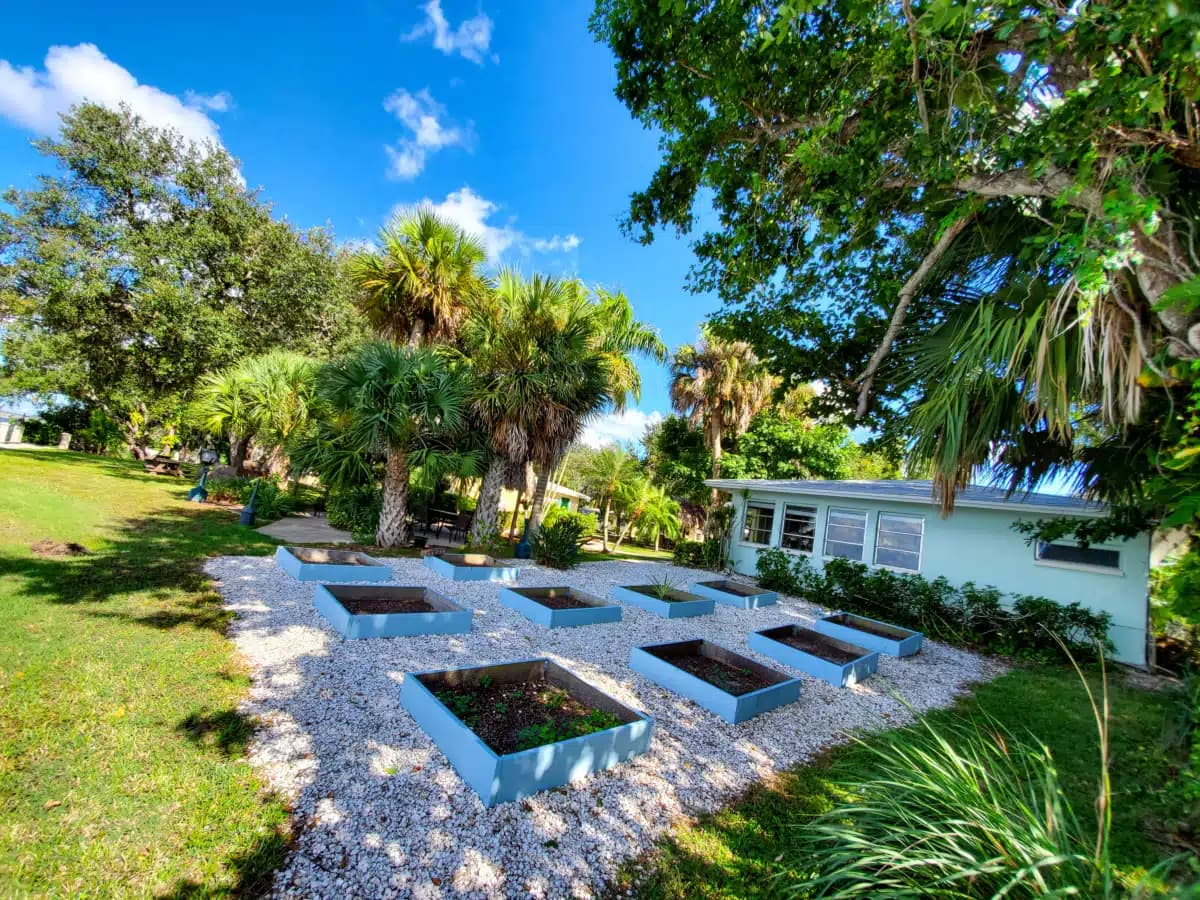 Celadon Recovery Outpatient Services - Thumbnail 4