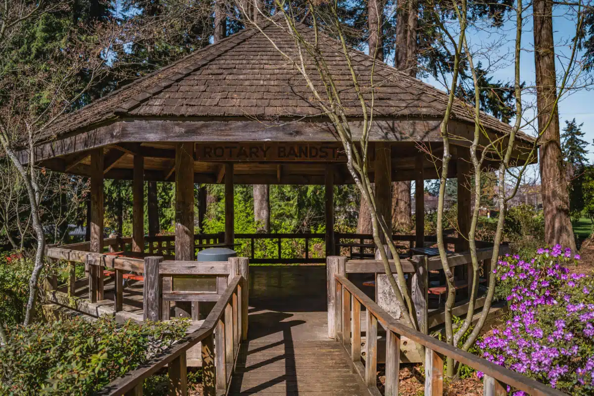 Center - Thumbnail 8