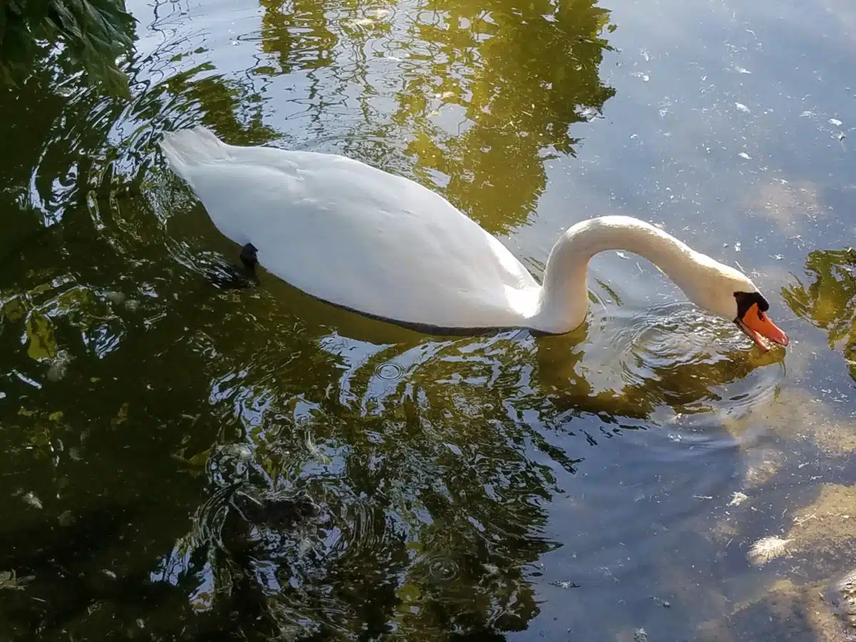 Clifton Springs Hosp Clinic - Thumbnail 6