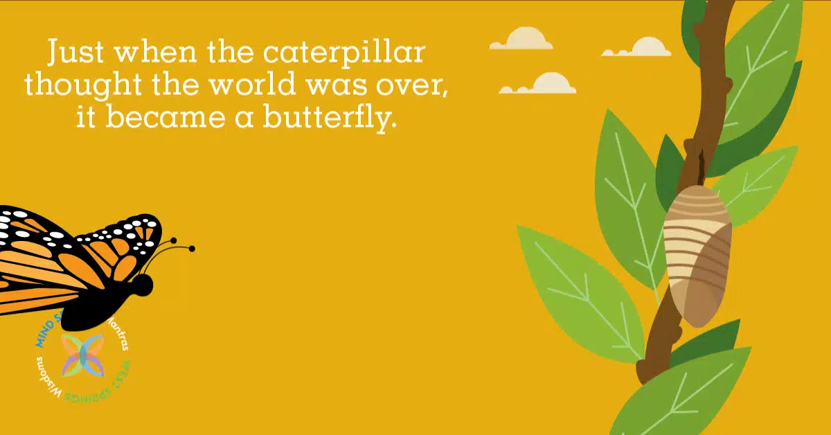 Colorado West Regional Mental Hlth Ctr - Thumbnail 7