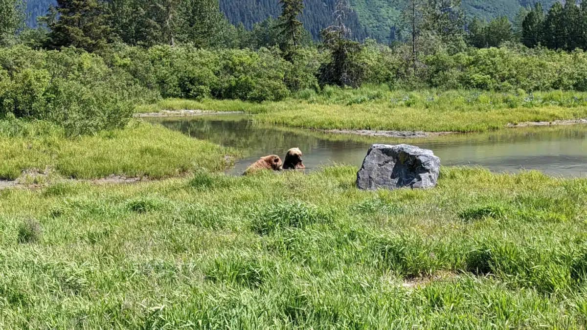 Cook Inlet Tribal Council Inc - Thumbnail 2