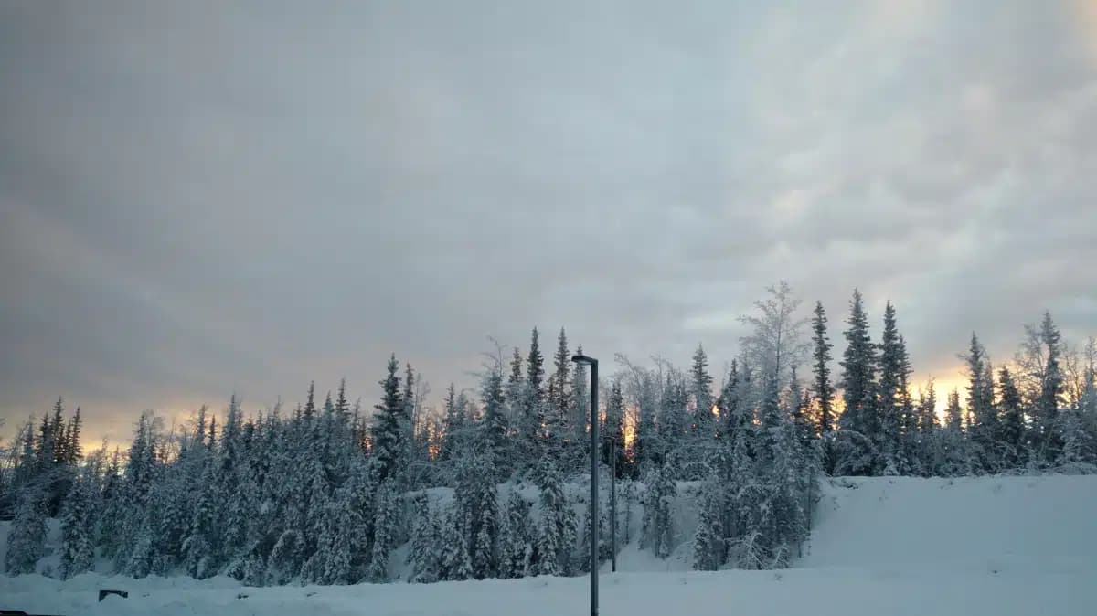 Copper River Native Association - Thumbnail 9