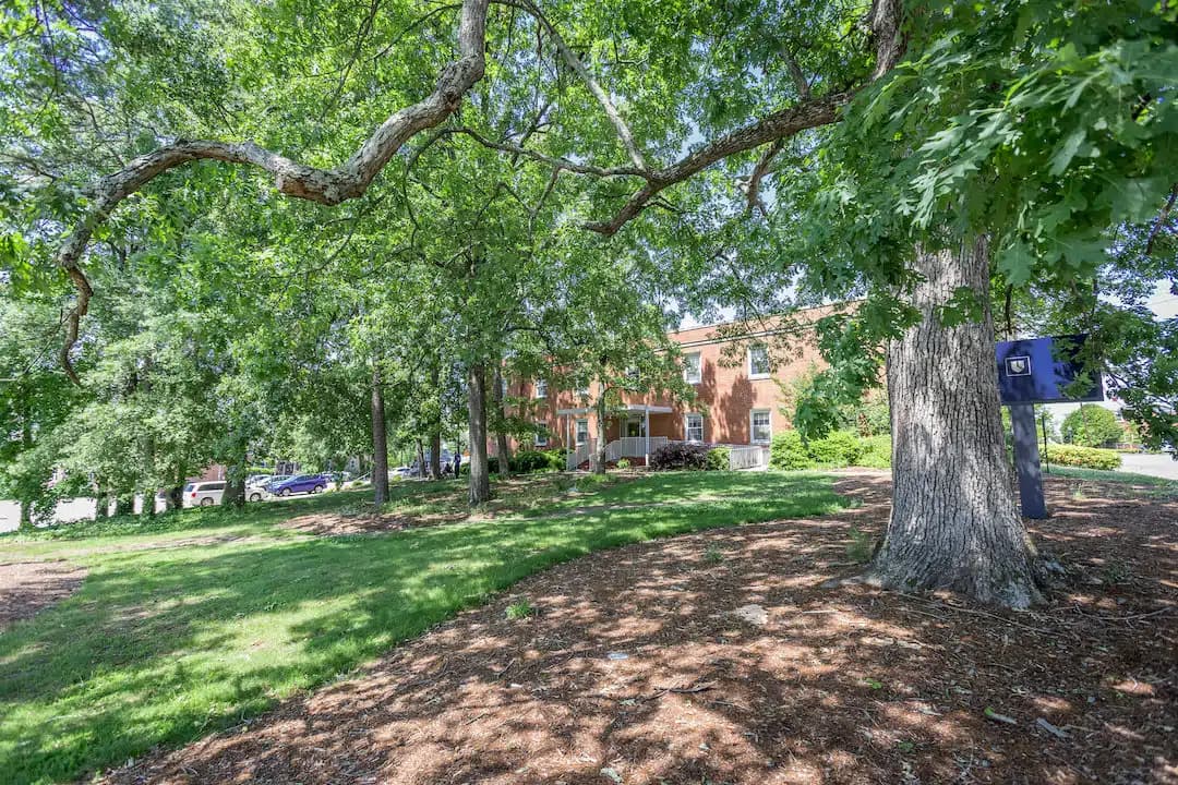 Ctr for Adol and Young Adult Subst Use - Thumbnail 3