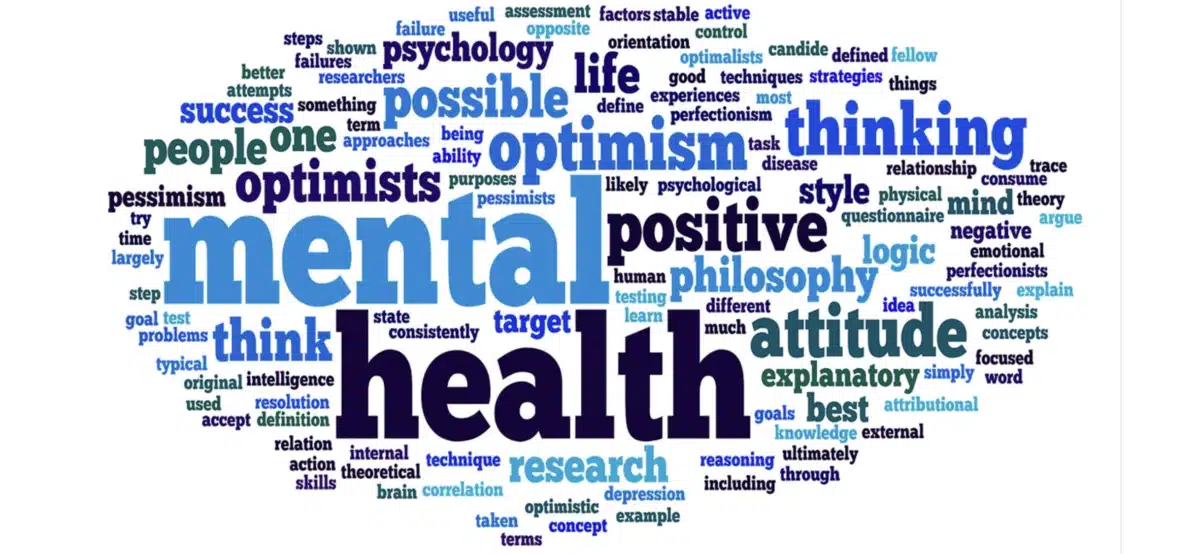 DM and ADR Inc - Thumbnail 3