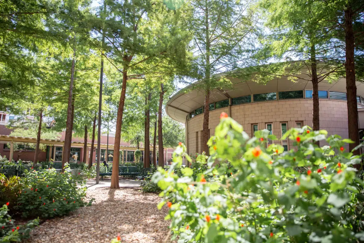 Dallas County MHMR Center - Thumbnail 6