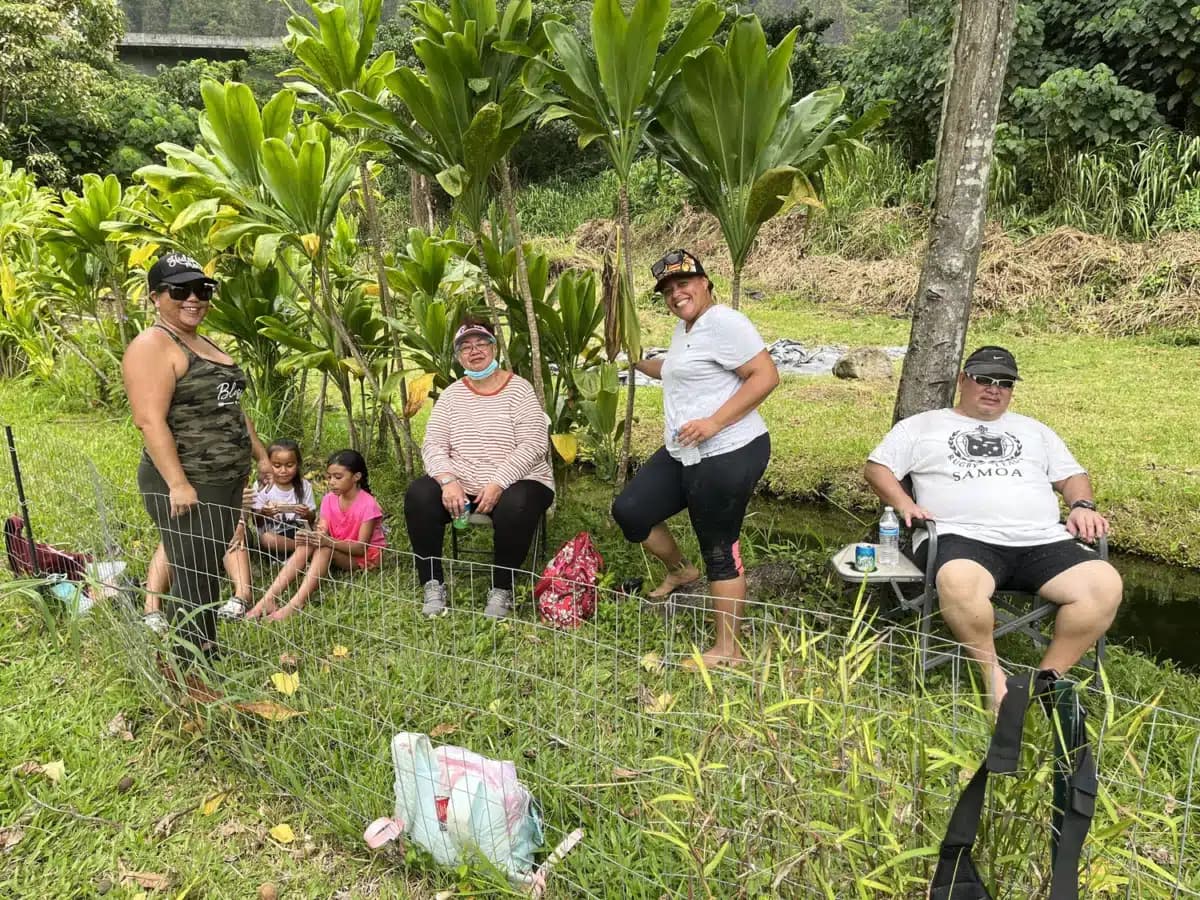 Dynamic Healing Center - Preview