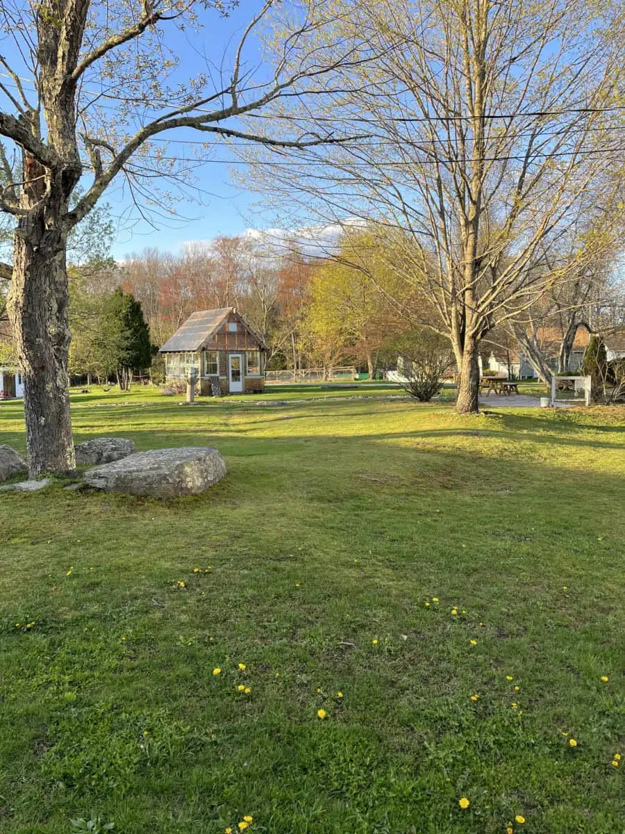 Dynamic Youth Community Inc - Thumbnail 2