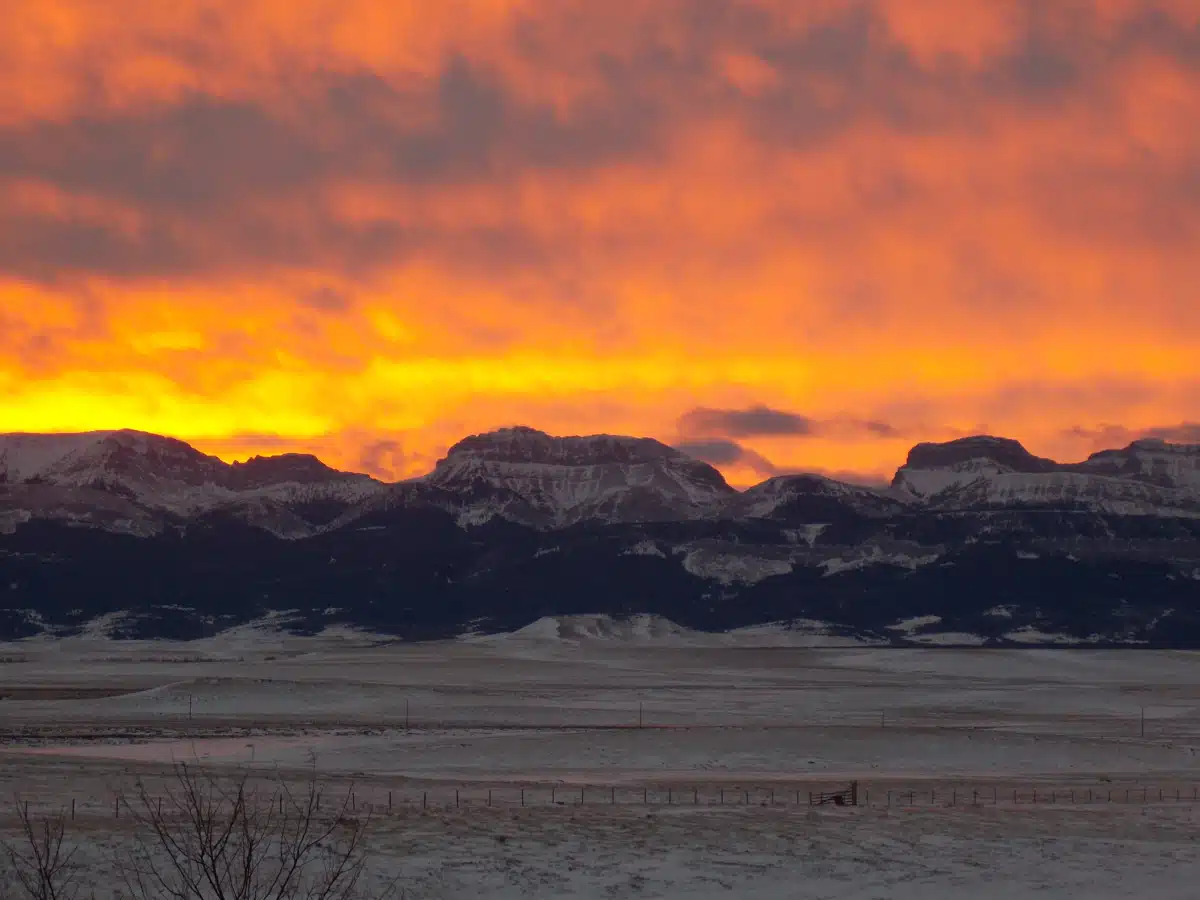 Eastern Front Counseling