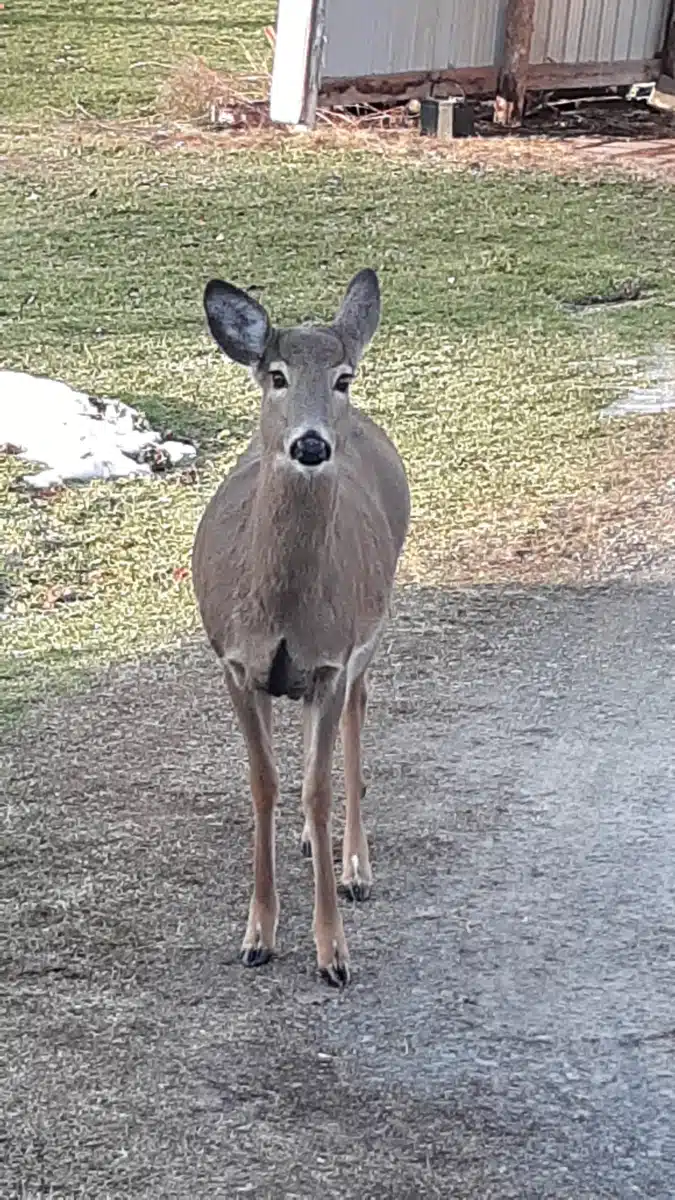 Endless Mountains Extended Care LLC - Thumbnail 10