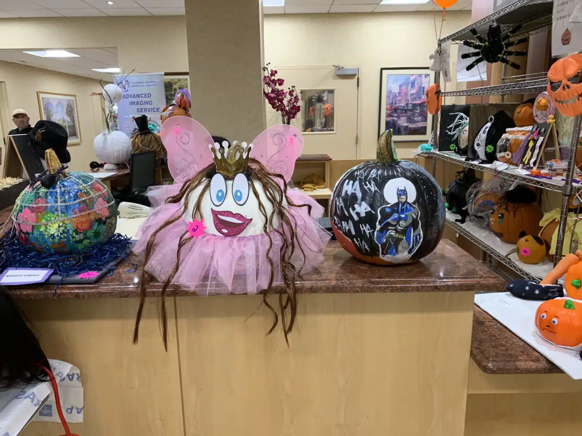 Flushing Hospital and Medical Center - Thumbnail 7