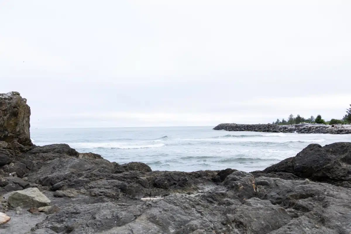 Free by the Sea - Thumbnail 3