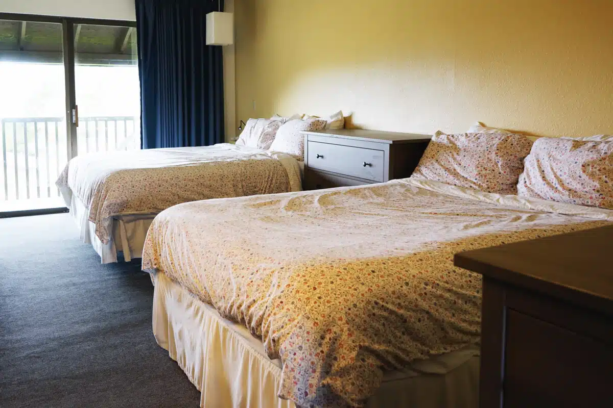 Free by the Sea - Thumbnail 4