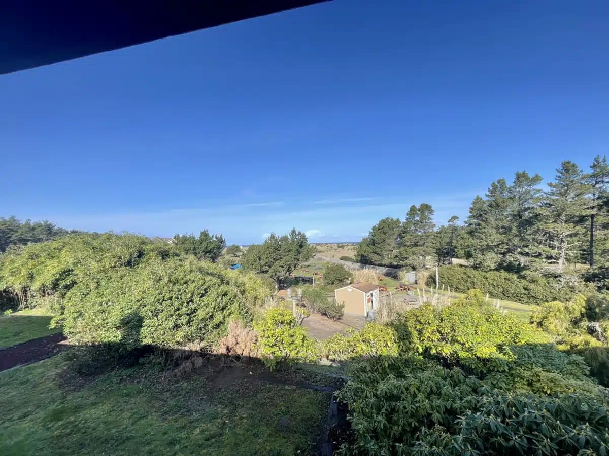 Free by the Sea - Thumbnail 9