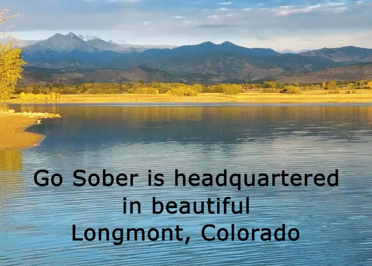 Go Sober - Thumbnail 2