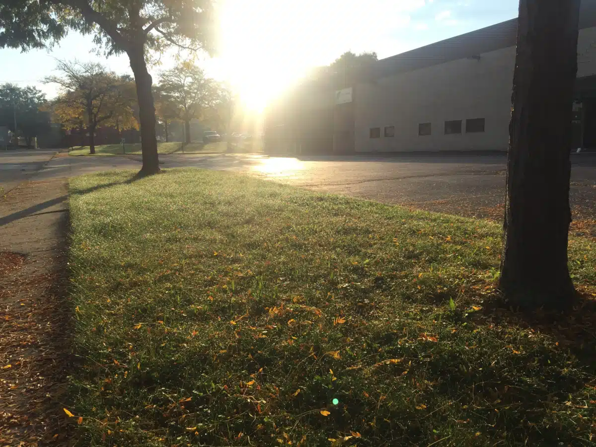 Greenleaf Family Center - Thumbnail 2